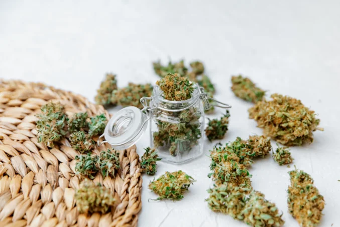 Showcasing Premium THC Flower Options Through Refined Cultivation Approaches